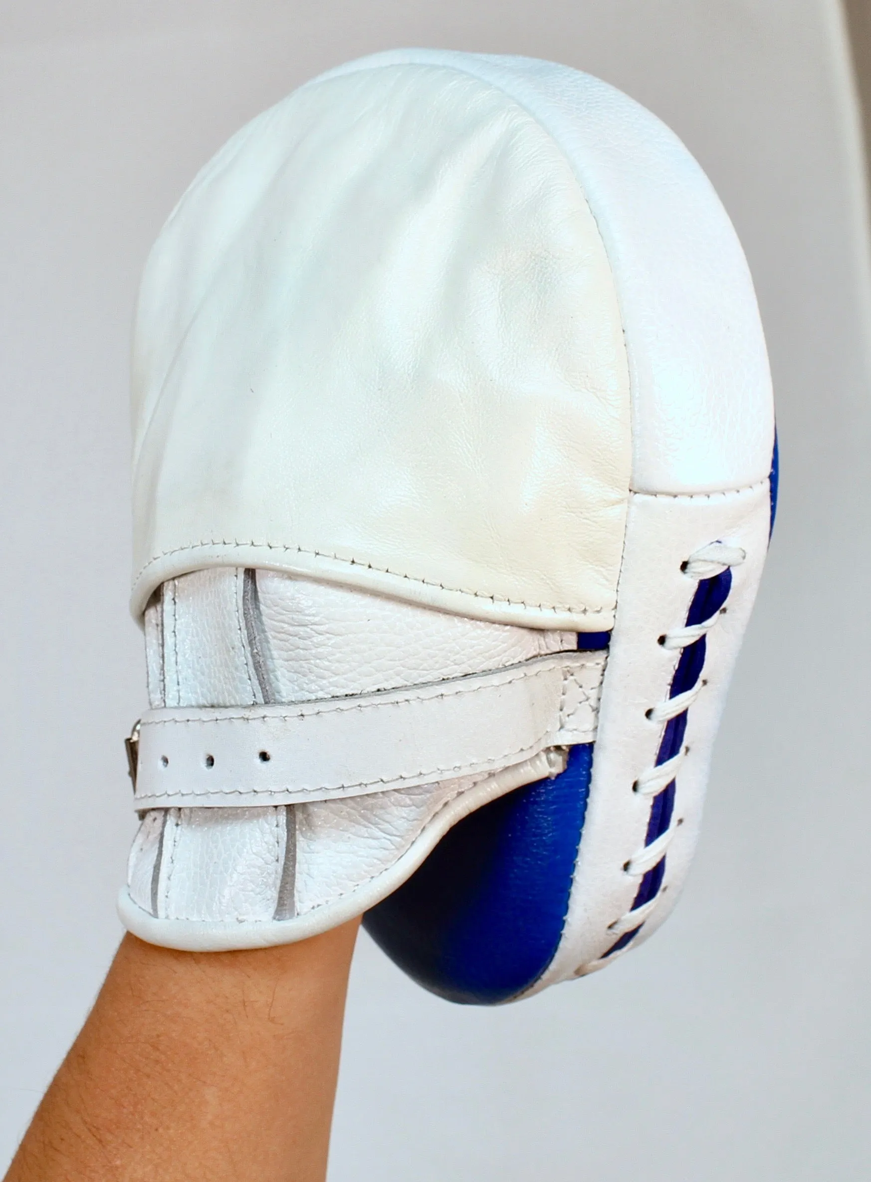 GIL Professional Training Punch Mitts